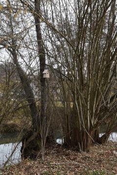 Gnezdilnice Radulja 8